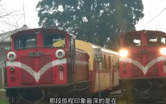 臺灣記憶走向國際！《神木之森》AI影片東京盛大放映