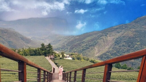 茶香、手作、瑜珈、部落料理多元素 阿里山四季茶旅正式上架