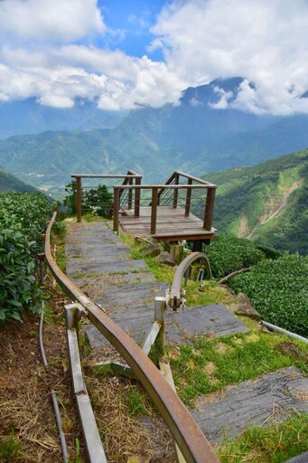 茶香、手作、瑜珈、部落料理多元素 阿里山四季茶旅正式上架