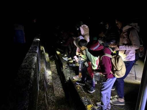 走進森林,聆聽森命的樂章! 東眼山「癒見森林」專屬成人療癒趣