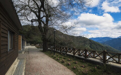 林保署新竹分署轄內森林遊樂區及烏來台車 自11/14日14時起休園及停駛