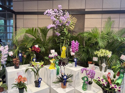 成大94週年校慶蘭展「成蘭之美」登場