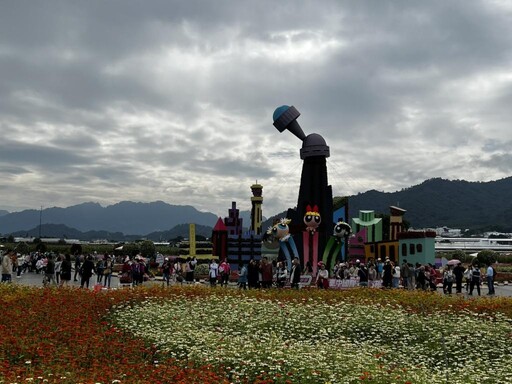 新社花海花毯節人氣旺 橘色波斯菊、紅色百日草、本週大爆發