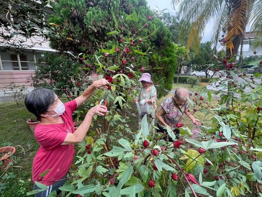 屏東榮家洛神饗宴 住民體驗田園採摘樂
