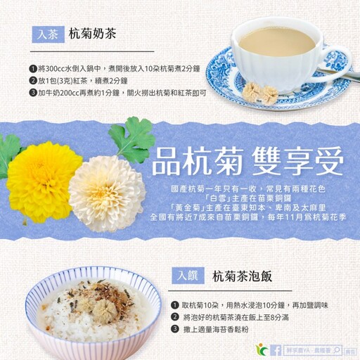 杭菊盛開！農糧署分享創意食譜 教你自製奶茶、茶泡飯暖胃