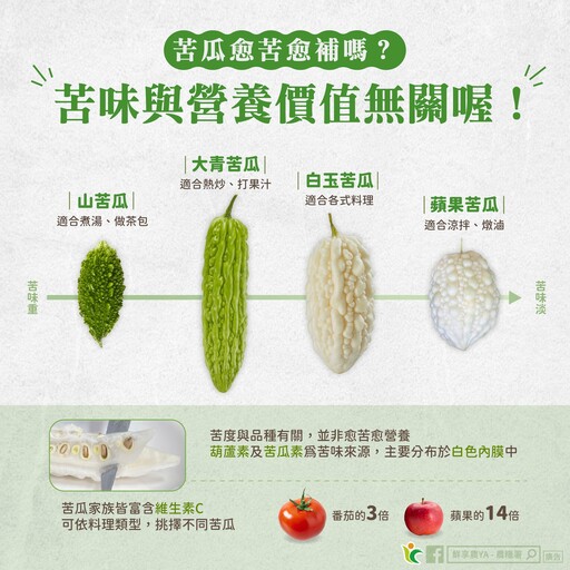 吃苦當吃補？農糧署破解苦瓜迷思 苦味關鍵在這