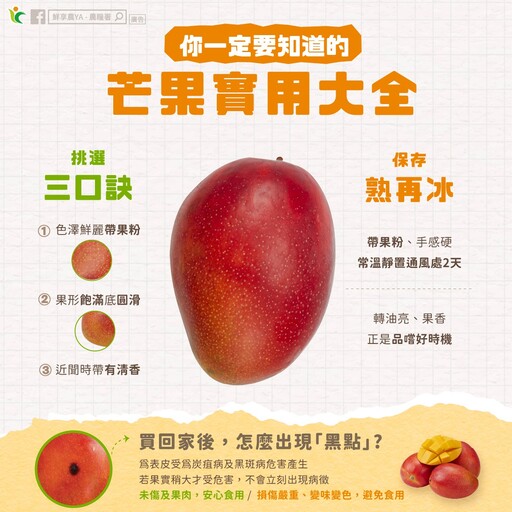 芒果怎麼挑不踩雷?3訣竅報你知