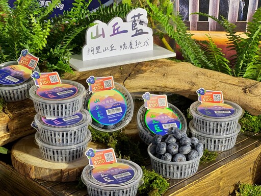 台灣藍莓「山丘藍」產季正式開始！全家預告 4 月推「藍莓霜淇淋」