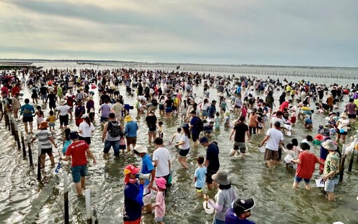 挖文蛤體驗 2024臺南七股海鮮節系列活動7月6日開跑