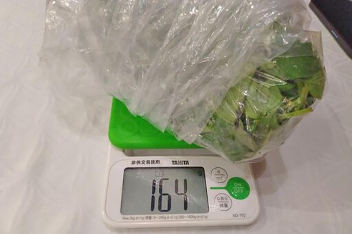 北市驗蔬果12件農藥超標 欣葉台菜九層塔、美福食集特選韭菜花出包