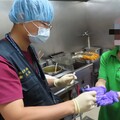 遠雄「鴻屋咖哩」11人食物中毒驗出沙門氏菌 衛生局移送法辦