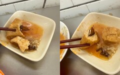 基隆廟口小吃店「天一香」驚見油豆腐包蟑螂 衛生局勒令停業改善