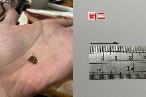 太驚嚇！燒臘店餐點藏「2公分針頭」 燒肉店紅茶中喝到蟑螂