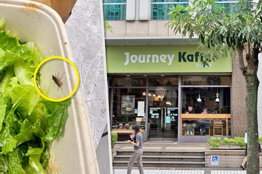 北市覺旅咖啡遭爆有「蟑螂沙拉」 網友怨：還吃過鐵片