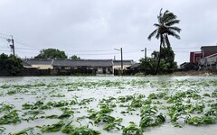 【凱米釀災重建】農損攀升至11億 愛車泡水怎急救、房屋淹水領補助金這裡看