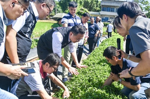 桃園推動環保農膜示範區 蘇俊賓力推環境友善仙草節