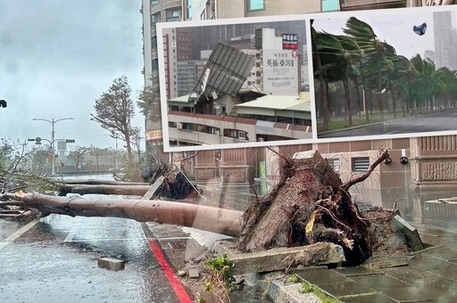 山陀兒驚奇暴風秀！鐵皮屋頂、路樹「什麼都能吹跑」 空中還有內褲飄