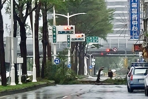 山陀兒驚奇暴風秀！鐵皮屋頂、路樹「什麼都能吹跑」 空中還有內褲飄