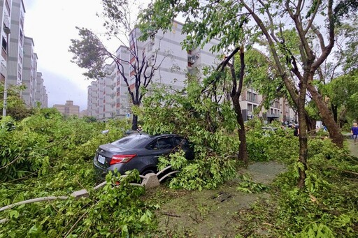 山陀兒驚奇暴風秀！鐵皮屋頂、路樹「什麼都能吹跑」 空中還有內褲飄