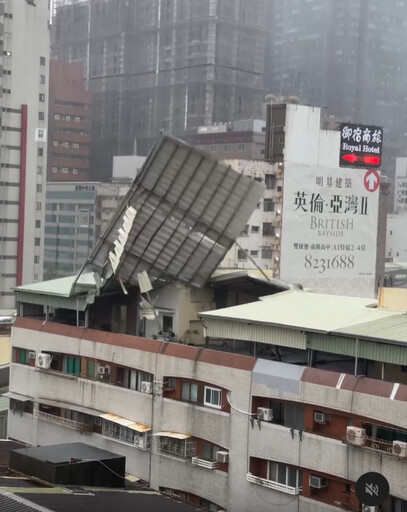 山陀兒驚奇暴風秀！鐵皮屋頂、路樹「什麼都能吹跑」 空中還有內褲飄