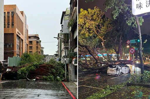 北市遭11級風重創「2000棵路樹倒」 民眾怨：上班通勤成障礙賽