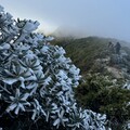 首波冷氣團報到！雪霸山區覆冰霜 銀白美景畫面曝光