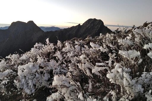 玉山今晨僅-5.7°C 一整片白茫茫「霜淞」超美畫面曝光