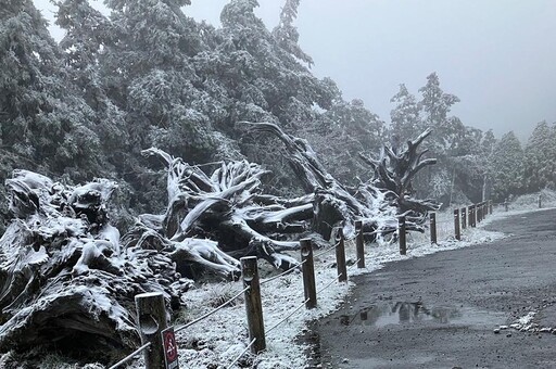 冷氣團接力報到！北台灣恐降至12°C 今晚高山有望下雪