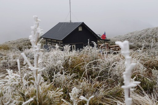 太平山、雪霸公園結霧淞下冰霰 銀白雪景超夢幻