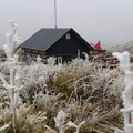 太平山、雪霸公園結霧淞下冰霰 銀白雪景超夢幻