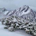 強烈冷氣團下周報到 低溫恐跌破10度、高山有望降雪