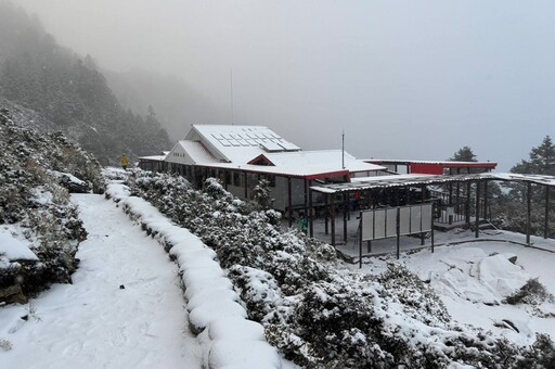 嘉明湖降下今年第1場雪！ 山屋積雪3公分披上「厚厚糖霜」超美