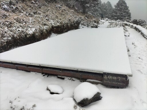 嘉明湖降下今年第1場雪！ 山屋積雪3公分披上「厚厚糖霜」超美