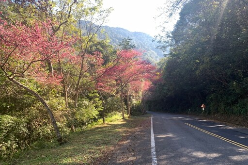 用路人注意！南橫公路春節9天連假全線通車 但「這2天」有管制時段