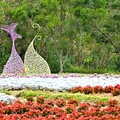 來趟「偽日本」富良野之旅吧！ 北投三層崎公園花海浪漫ing