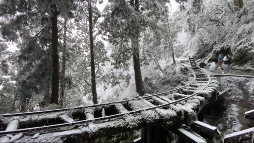 下雪好美！太平山零下2度冷到爆 銀白美景如夢幻仙境