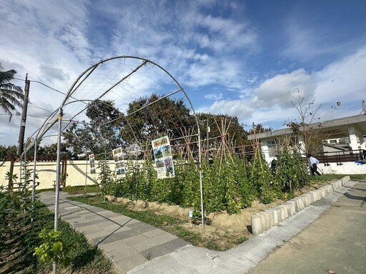 高雄社區營造成果豐碩 五社區獲金獎展現綠生活創意力