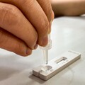 【懶人包】新冠疫情6月恐飆高鋒 「症狀轉變、疫苗接種、快篩使用」一次看懂