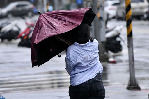 太平洋罕見到6月仍「零颱風」 專家曝下周生成機率