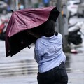 太平洋罕見到6月仍「零颱風」 專家曝下周生成機率