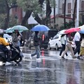 今年首颱「蝴蝶」下周恐生成 氣象專家：路徑接近台灣