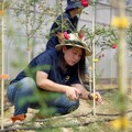 「永續高雄－青年創業挑戰賽」獎金百萬 決戰6/17
