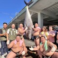 屏東黑鮪魚文化季再升級 日本相撲力士挑戰「扛起黑鮪魚試煉」