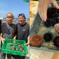 金馬影帝「誤撈海膽」涉竊盜罪 李康生急道歉還原過程