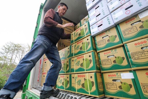 台南芒果、芭樂成功叩關歐盟 南市府與中央通力合作拓展農產外銷