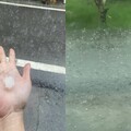 【天降奇冰片】宜蘭、高雄、屏東午後暴雨狂降冰雹 居民超嗨：夏天吃冰了