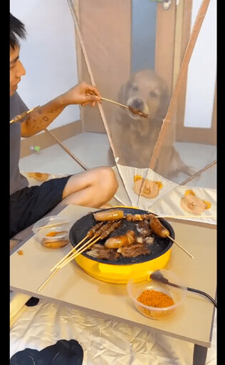 為了防止狗狗偷吃 主人躲蚊帳裡吃燒烤 狗狗只能眼饞卻吃不著！