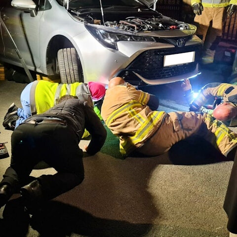 冷血車主狠心無視！小貓慘困引擎、雙腿骨折 消防隊奮戰45分鐘搶救生命