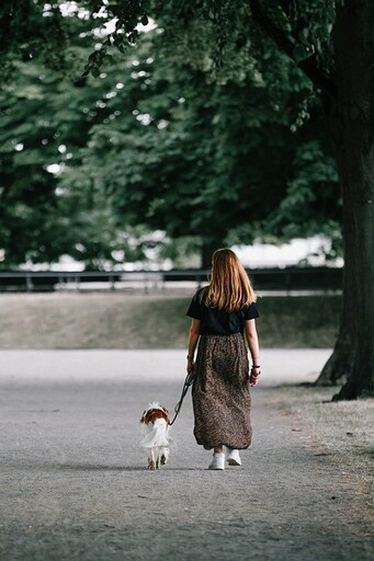 狗狗不想回家跑給主人追？她氣炸怒吼讓鄰居笑翻！