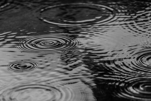 下雨天了怎麼辦？惡霸犬將排水管叼走以為天氣能放晴！